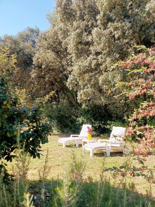 Studio Avec Jardin Entre Aix-En-Provence, Luberon Et Verdon Peyrolles-en-Provence Exterior photo