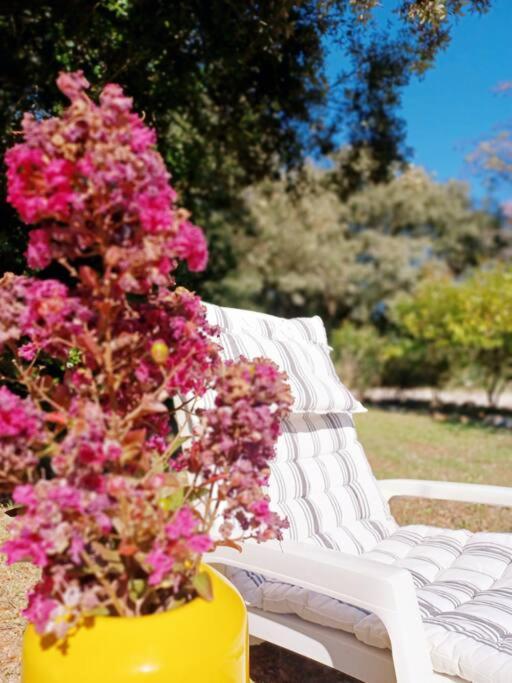 Studio Avec Jardin Entre Aix-En-Provence, Luberon Et Verdon Peyrolles-en-Provence Exterior photo